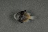  ( - FLMOO_345)  @12 [ ] No Rights Reserved  Unspecified Unspecified