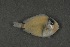  ( - FLMOO_365)  @12 [ ] No Rights Reserved  Unspecified Unspecified