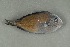  ( - FLMOO_367)  @13 [ ] No Rights Reserved  Unspecified Unspecified