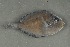 ( - FLMOO_369)  @13 [ ] No Rights Reserved  Unspecified Unspecified