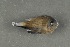  ( - FLMOO_373)  @13 [ ] No Rights Reserved  Unspecified Unspecified