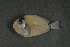  ( - FLMOO_380)  @12 [ ] No Rights Reserved  Unspecified Unspecified