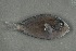  ( - FLMOO_383)  @13 [ ] No Rights Reserved  Unspecified Unspecified