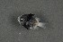  ( - FLMOO_386)  @12 [ ] No Rights Reserved  Unspecified Unspecified