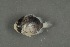  ( - FLMOO_395)  @14 [ ] No Rights Reserved  Unspecified Unspecified