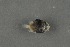  ( - FLMOO_403)  @12 [ ] No Rights Reserved  Unspecified Unspecified