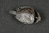  ( - FLMOO_410)  @12 [ ] No Rights Reserved  Unspecified Unspecified