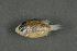 ( - FLMOO_412)  @13 [ ] No Rights Reserved  Unspecified Unspecified