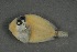  ( - FLMOO_419)  @12 [ ] No Rights Reserved  Unspecified Unspecified