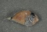  ( - FLMOO_475)  @12 [ ] No Rights Reserved  Unspecified Unspecified