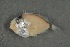  ( - FLMOO_476)  @12 [ ] No Rights Reserved  Unspecified Unspecified