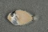  ( - FLMOO_478)  @12 [ ] No Rights Reserved  Unspecified Unspecified