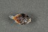  ( - FLMOO_501)  @12 [ ] No Rights Reserved  Unspecified Unspecified