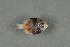  ( - FLMOO_503)  @12 [ ] No Rights Reserved  Unspecified Unspecified