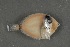  ( - FLMOO_515)  @12 [ ] No Rights Reserved  Unspecified Unspecified