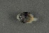  ( - FLMOO_522)  @12 [ ] No Rights Reserved  Unspecified Unspecified