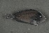  ( - FLMOO_552)  @13 [ ] No Rights Reserved  Unspecified Unspecified