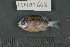  ( - FLMOO_668)  @13 [ ] No Rights Reserved  Unspecified Unspecified