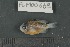  ( - FLMOO_669)  @13 [ ] No Rights Reserved  Unspecified Unspecified