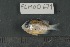  ( - FLMOO_671)  @13 [ ] No Rights Reserved  Unspecified Unspecified