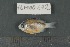  ( - FLMOO_672)  @13 [ ] No Rights Reserved  Unspecified Unspecified