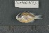 ( - FLMOO_673)  @13 [ ] No Rights Reserved  Unspecified Unspecified