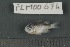  ( - FLMOO_674)  @12 [ ] No Rights Reserved  Unspecified Unspecified