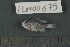  ( - FLMOO_675)  @12 [ ] No Rights Reserved  Unspecified Unspecified