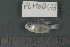  ( - FLMOO_676)  @12 [ ] No Rights Reserved  Unspecified Unspecified