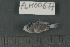  ( - FLMOO_677)  @12 [ ] No Rights Reserved  Unspecified Unspecified