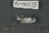  ( - FLMOO_678)  @12 [ ] No Rights Reserved  Unspecified Unspecified