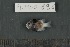  ( - FLMOO_696)  @13 [ ] No Rights Reserved  Unspecified Unspecified