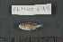  ( - FLMOO_699)  @12 [ ] No Rights Reserved  Unspecified Unspecified
