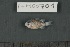  ( - FLMOO_701)  @12 [ ] No Rights Reserved  Unspecified Unspecified