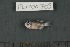  ( - FLMOO_703)  @12 [ ] No Rights Reserved  Unspecified Unspecified