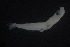  ( - FLMOO_971)  @12 [ ] No Rights Reserved  Unspecified Unspecified