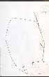  ( - JRM135)  @11 [ ] CreativeCommons - Attribution  Unspecified Centre for Biodiversity Genomics