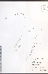  ( - JRM136)  @11 [ ] CreativeCommons - Attribution  Unspecified Centre for Biodiversity Genomics