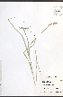  ( - JRM160)  @11 [ ] CreativeCommons - Attribution  Unspecified Centre for Biodiversity Genomics