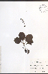 ( - JRM187)  @11 [ ] CreativeCommons - Attribution  Unspecified Centre for Biodiversity Genomics