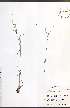  ( - JRM191)  @11 [ ] CreativeCommons - Attribution  Unspecified Centre for Biodiversity Genomics