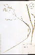  ( - JRM287)  @11 [ ] CreativeCommons - Attribution  Unspecified Centre for Biodiversity Genomics