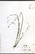  ( - JRM294)  @11 [ ] CreativeCommons - Attribution  Unspecified Centre for Biodiversity Genomics