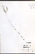  ( - JRM299)  @11 [ ] CreativeCommons - Attribution  Unspecified Centre for Biodiversity Genomics