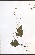  ( - JRM314)  @11 [ ] CreativeCommons - Attribution  Unspecified Centre for Biodiversity Genomics