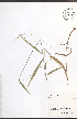  ( - NTW1149)  @11 [ ] CreativeCommons - Attribution  Unspecified Centre for Biodiversity Genomics