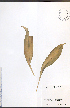  ( - NTW832)  @11 [ ] CreativeCommons - Attribution  Unspecified Centre for Biodiversity Genomics