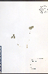  ( - NTW835)  @11 [ ] CreativeCommons - Attribution  Unspecified Centre for Biodiversity Genomics