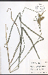  ( - TAH236)  @11 [ ] CreativeCommons - Attribution  Unspecified Centre for Biodiversity Genomics