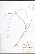  ( - TAH242)  @11 [ ] CreativeCommons - Attribution  Unspecified Centre for Biodiversity Genomics